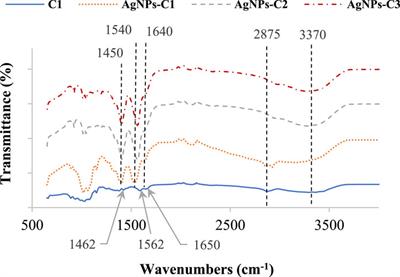 Silver nanoparticles incorporated with enzymatically derived chitooligosaccharides: preparation, characterization, and biological potential evaluation